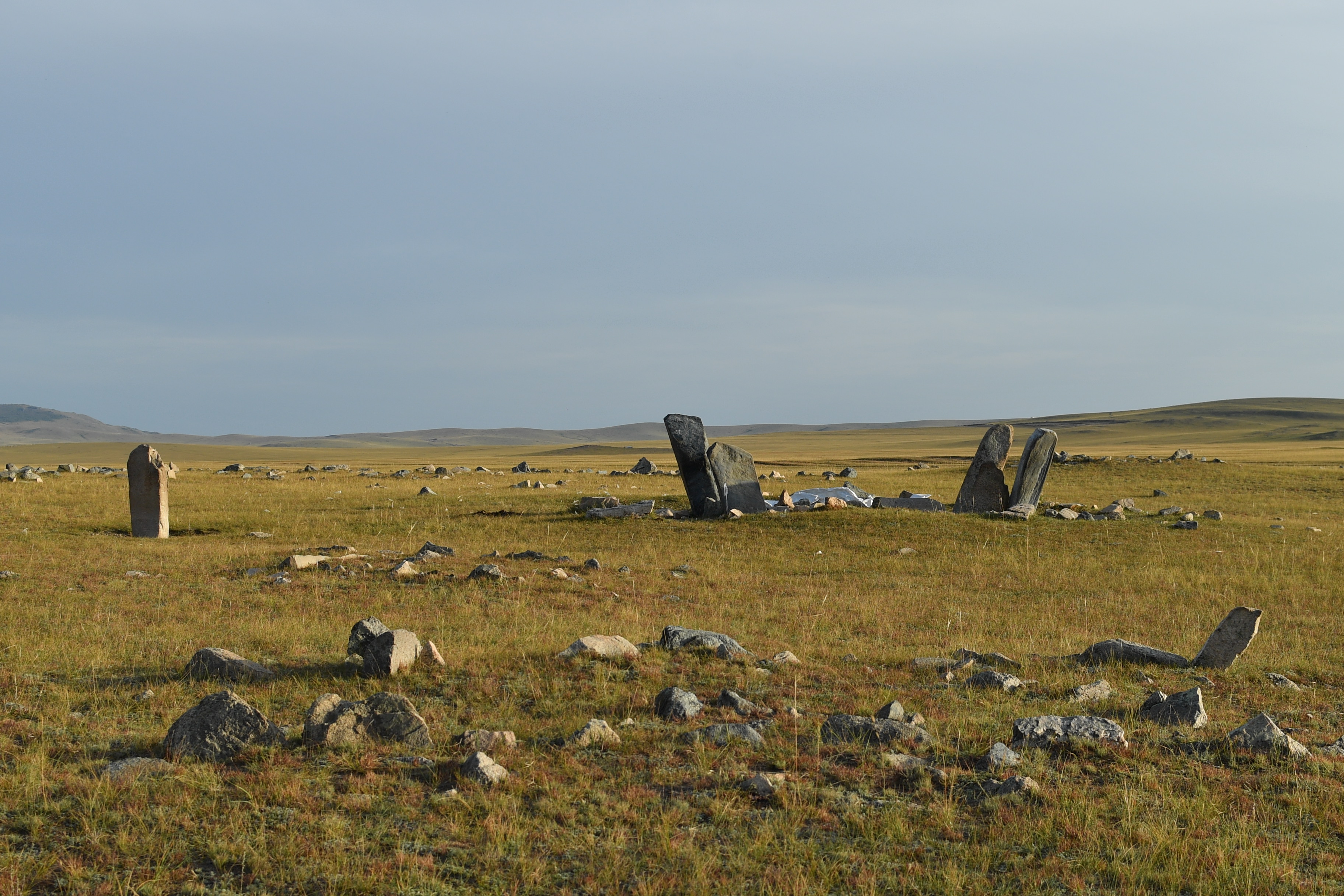 БАЙШИРЫН УСНЫ БУГАН ХӨШӨӨ