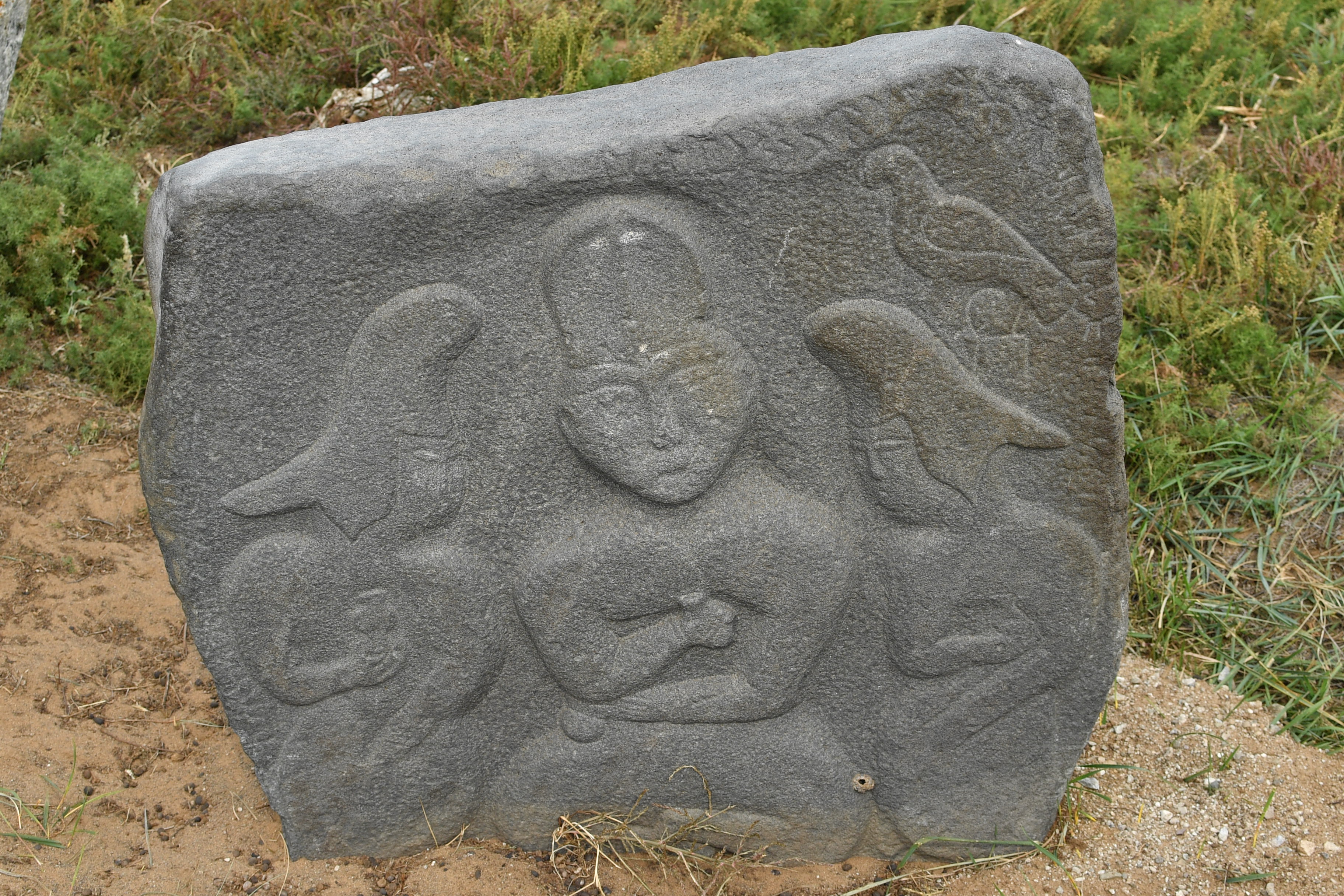 ХӨЛ АСГАТЫН ЦОГЦОЛБОР ДУРСГАЛ